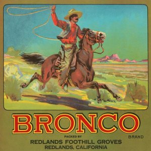 Retrolabel - Bronco Brand Crate Label