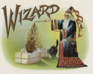 Halloween - Wizard