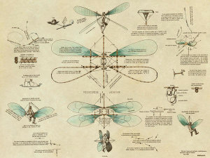 Inventions - Airborne Bicycle