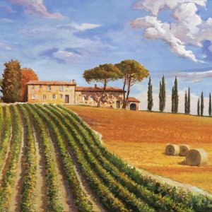 Adriano Galasso - Colline Toscane