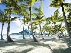 Anonymous - Hammock at Bora Bora, Tahiti