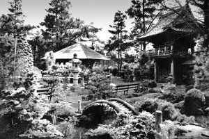 Vintage San Francisco - Oriental Tea Garden, San Francisco, CA