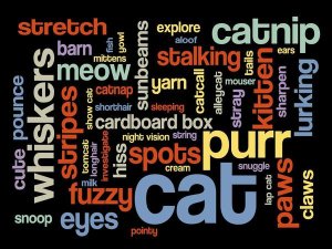 BG.Studio - Cat Words 1