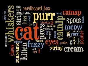 BG.Studio - Cat Words 2