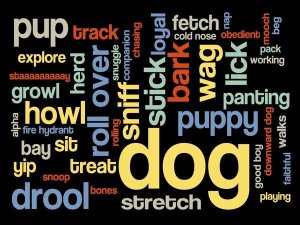 BG.Studio - Dog Words 1