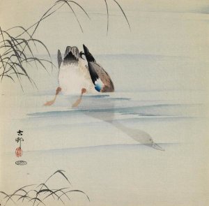 Ohara Koson (Shoson) - Diving Mallard, ca. 1910