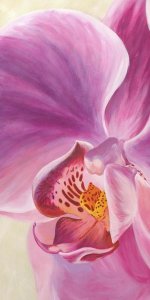 Cynthia Ann - Purple Orchids I