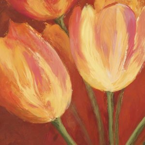 Silvia Mei - Orange Tulips II