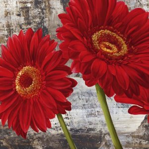 Jenny Thomlinson - Red Gerberas I