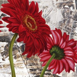 Jenny Thomlinson - Red Gerberas III