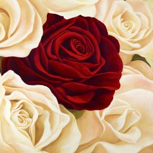 Serena Biffi - Rose Composition II