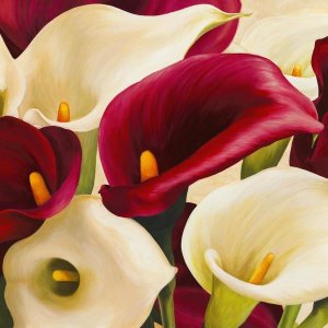 Serena Biffi - Calla Composition II