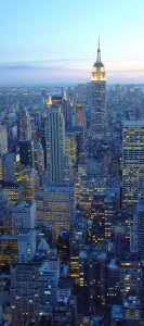 Unknown - NYC Skyline at dusk (center)