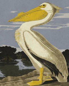 BG.Studio - Audubon Decor - Pelican