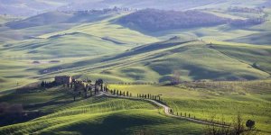 Vadim Ratsenskiy - A Road in Tuscany