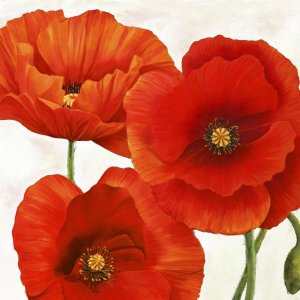 Luca Villa - Poppies I