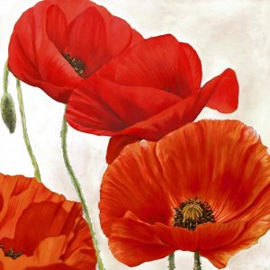 Luca Villa - Poppies II