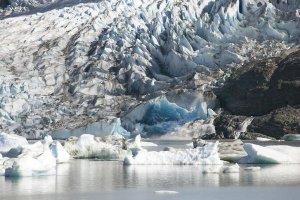 Matthias Breiter - Terminal moraine and glacial lake, Mendenhall Glacier, Juneau, Alaska