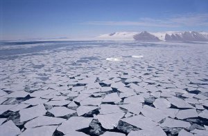 Tui De Roy - Sea ice break-up, aerial view, Transantarctic Mountains, New Harbour, McMurdo Sound, Ross Sea, Antarctica