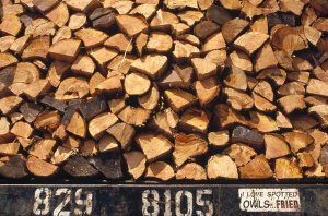 Gerry Ellis - Firewood hauled from clearcut on truck bed with 'I Love Spotted Owls, Fried' bumper sticker, Suislaw National Forest, Oregon