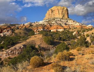 Tim Fitzharris - Square Butte near Kaibito, Arizona