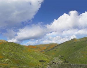 Tim Fitzharris - Temescal Hills, southern California