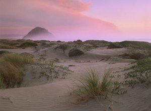 Tim Fitzharris - Morro Rock at Morro Bay, California