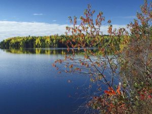 Tim Fitzharris - Tobique River, New Brunswick, Canada