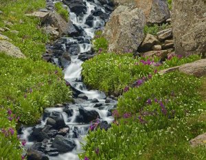 Tim Fitzharris - Porphyry Creek near Silverton, Colorado