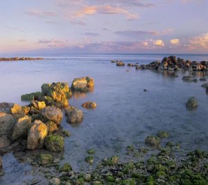 Tim Fitzharris - Coastal rocks, Bahia Honda Key, Florida
