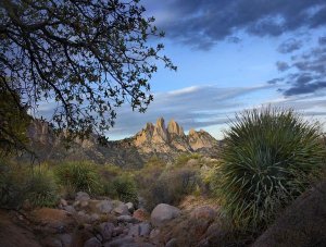 Tim Fitzharris - Organ Mountains near Las Cruces, New Mexico