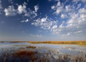 Tim Fitzharris - Marsh, Padre Island National Seashore, Texas