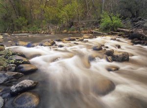 Tim Fitzharris - Oak Creek at Grasshopper Point, Sedona, Arizona