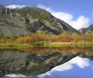 Tim Fitzharris - Boulder Mountains reflected in beaver pond, Idaho