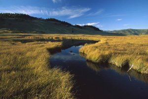 Tim Fitzharris - Blacktail Lake, Yellowstone National Park, Wyoming