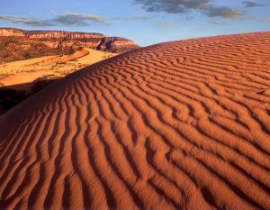 Tim Fitzharris - Sand dunes, Coral Pink Sand Dunes State Park, Utah