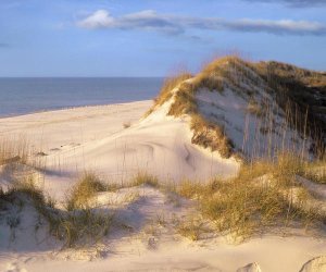 Tim Fitzharris - Coastal sand dunes, Saint Joseph Peninsula, Florida