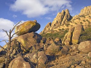 Tim Fitzharris - Rockpile, Davis Mountains, Chihuahuan Desert, Texas