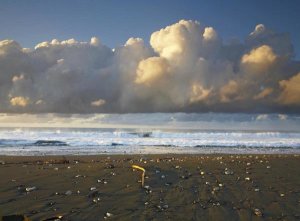 Tim Fitzharris - Beach and waves, Corcovado National Park, Costa Rica