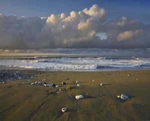 Tim Fitzharris - Beach and waves, Corcovado National Park, Costa Rica