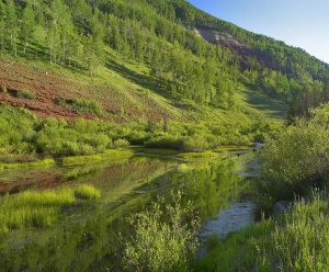 Tim Fitzharris - Rico Mountains and Dolores River backwaters, Colorado