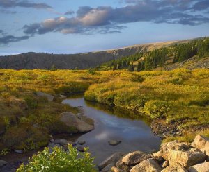 Tim Fitzharris - Alpine stream, Rollins Pass near Winter Park, Colorado