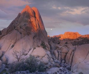Tim Fitzharris - Moon over rocks, Joshua Tree National Park, California