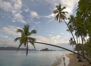 Tim Fitzharris - Tourist walking along beach, Tortuga Island, Costa Rica