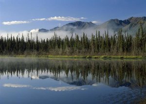 Tim Fitzharris - Boreal forest along lake edge, Nutzotin Mountains, Alaska