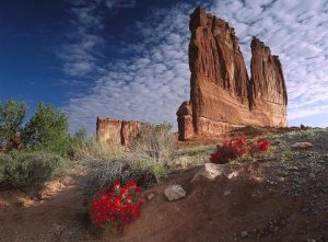 Tim Fitzharris - Paintbrush and the Organ Rock, Arches National Park, Utah