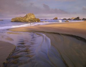 Tim Fitzharris - Creek flowing into ocean at Harris Beach State Park, Oregon