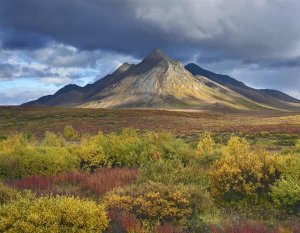 Tim Fitzharris - Ogilvie Mountains, Tombstone Territorial Park, Yukon, Canada