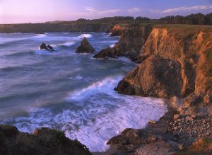 Tim Fitzharris - Beach at Jughandle State Reserve, Mendocino County, California