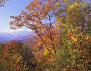 Tim Fitzharris - Great Smoky Mountains from, Blue Ridge Parkway, North Carolina